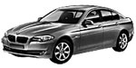 BMW F10 C20AF Fault Code
